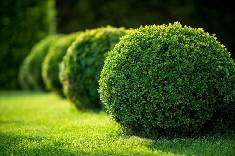 Bush Landscaping in Ventura County, CA