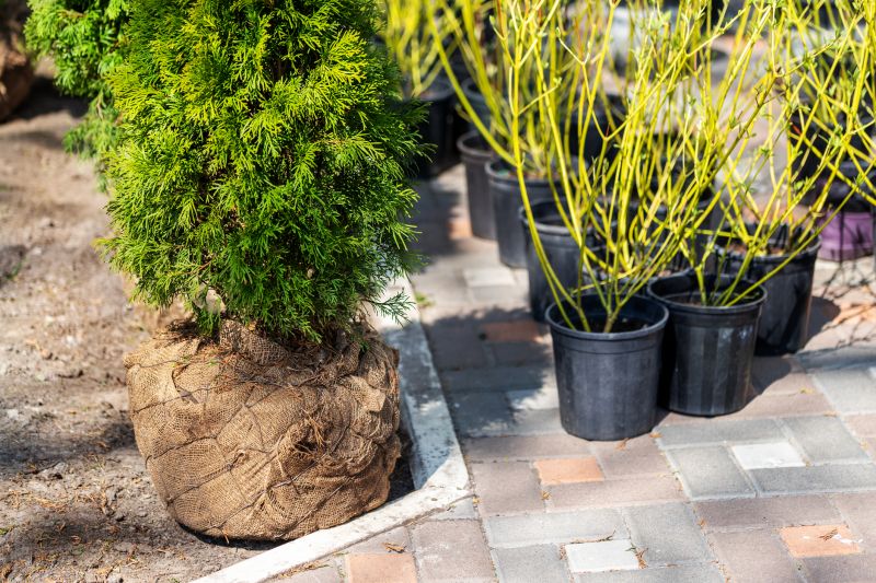 Bush Planting Service in Honolulu, HI