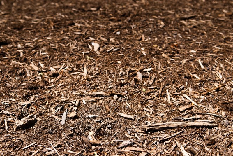 Cypress Mulch Installation in Ventura County, CA