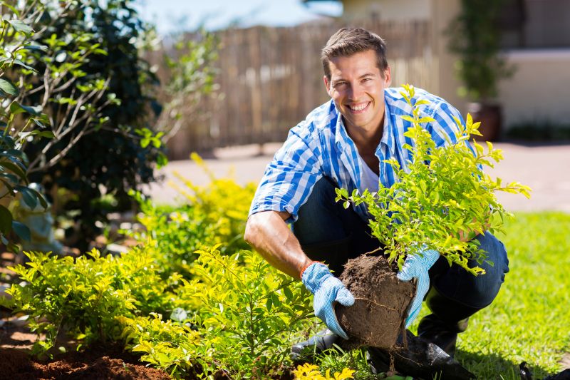 Ground Cover Planting in Ventura County, CA