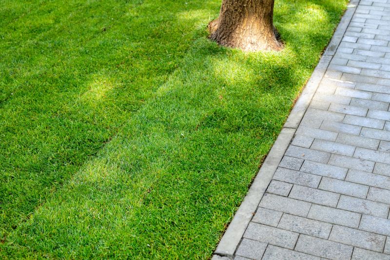 Landscaping Installation in Ventura County, CA
