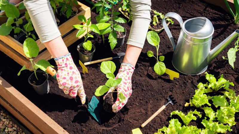 Planting Service in Honolulu, HI