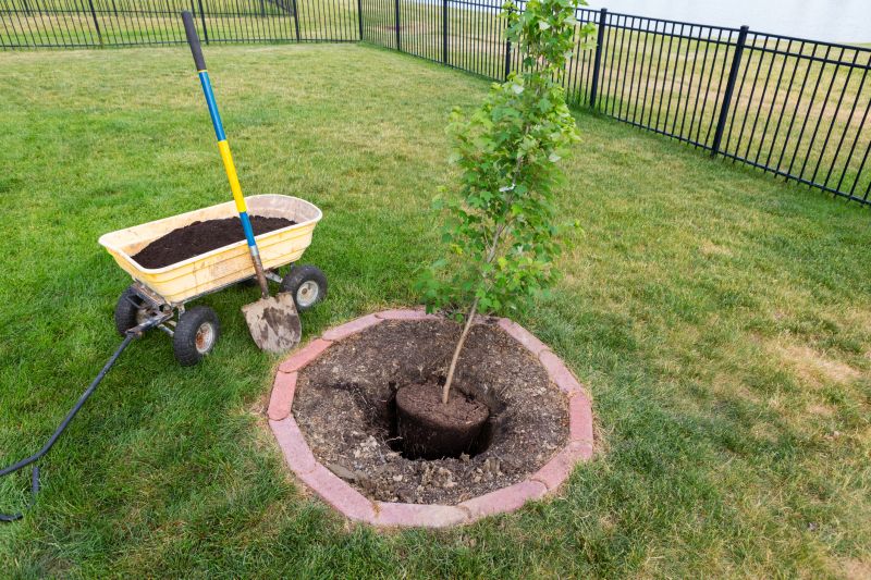 Tree Landscaping in Ventura County, CA