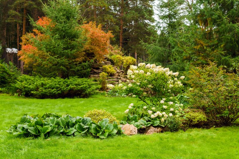 Xeriscape Landscaping in Ventura County, CA