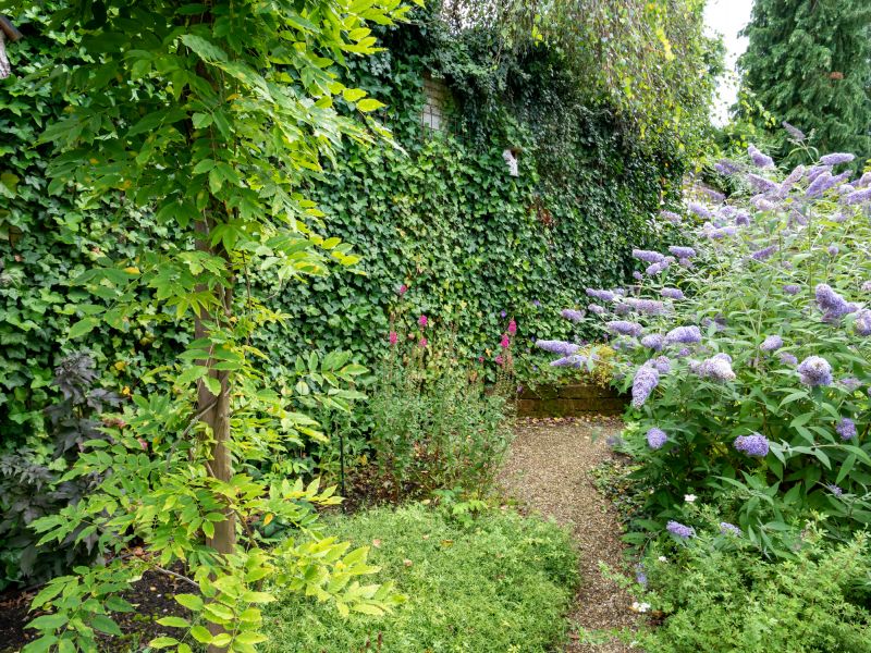 Xeriscape Landscaping in Honolulu, HI